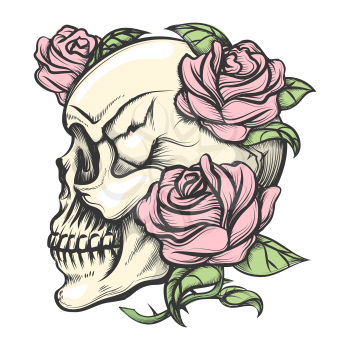 Human skull with roses drawn in tattoo style. Isolated on white.