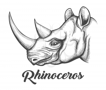 Head of Rhinoceros drawn in engraving style. Vector illustration.