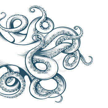 Hand drawn octopus tentacles drawn in engraving style isolated on white background. Vector illustration