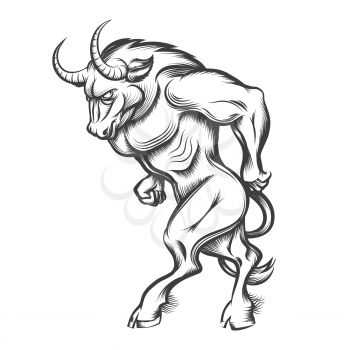 Ancient Greek mythological monster Minotaur in engraving style on white. Vector illustration.