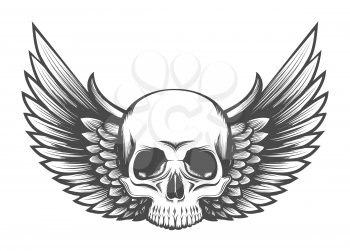 Human Skull with Wings tattoo drawn in Engraving style. Vector illustration.
