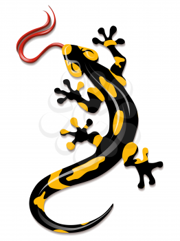 Salamander drawn in acartoon style. Isolated on white background.