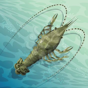 Illustration with langouste in the shoal waters drawn in cartoon style