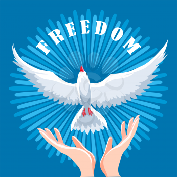 Hands release dove in the air. Freedom concept emblem. Vector illustration.