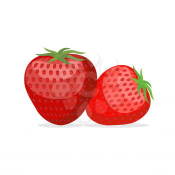 Strawberry. Two fresh red, ripe strawberries on white background. Vector illustration of berries
