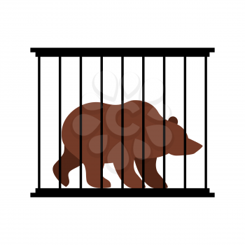 Bear in cage. Animal in Zoo behind bars. Big beast Grizzly wild animal in captivity. Dangerous animal captivity in humans.