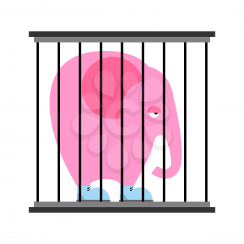 Sad pink elephant in cage. Animal in Zoo behind bars. Big beast in  blue sneakers shoes. Wild animal in captivity
