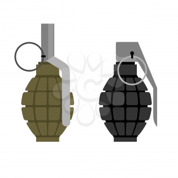 Military grenade. Set of military hand grenade: green and black. Ammunition soldier.
