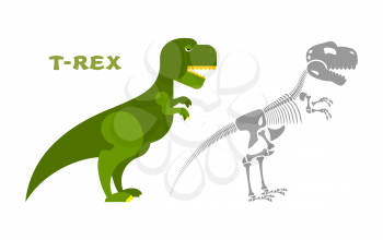 Dinosaur Tyrannosaurus skeleton. Bones and skull t-Rex. Ancient animal Monster. Prehistoric lizard. Predator of Jurassic period. Toothy Creepy and anatomical skeleton.
