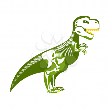 Dinosaur skeleton. Bone up on my body. T-Rex and skull. Tyrannosaurus prehistoric monster predator Raptor
