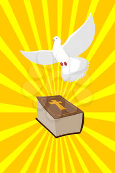  Bible and White Dove symbols of Christianity. Pure white dove brought  Holy Bible. Old book of  New Testament and white bird. Rays emanate from book. Rays of divine light.

