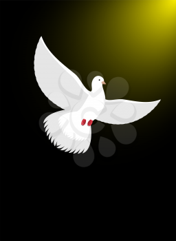 White dove flies in dark on divine light. Magical glow and white bird. Christian symbol illustration of Ascension of soul
