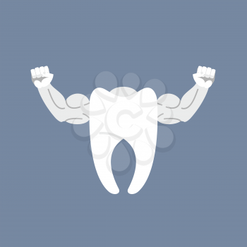 Strong healthy tooth. White clean tooth with big muscles. Logo for dentist clinic.
