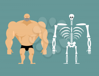 human structure. Skeleton men. construction of athlete. Bones and skull. Athlete internal organs. Human bone system. Anatomy bodybuilder.