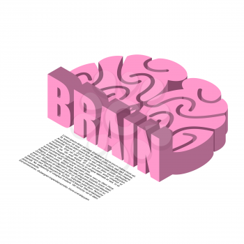 Brain structure of infographics. Brains headache human cortex
