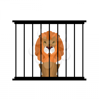 Lion in zoo cage. Strong Scary wild animals in captivity. Big hairy predator behind bars
