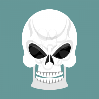 Skull with grin. skeleton head isolated. cranium in green background
