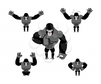 Gorilla set  poses. Expression of Emotions monkey. Wild beast and evil good. Sad and happy animal. Big strong predator in jungle
