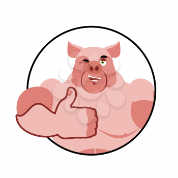 Boar thumbs up well and winks. Pig Signs all right. Cheerful boar. Hand showing ok. Gesture of hand. Good farm animals
