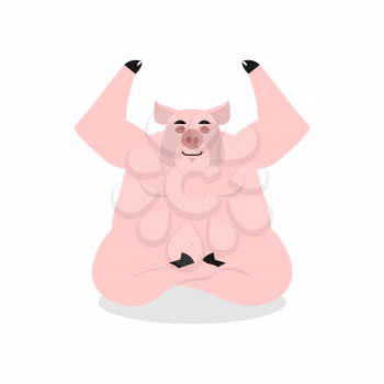 Pig yoga. Animal meditating. Farm animal on white background. Condition of nirvana and enlightenment. lotus Pose