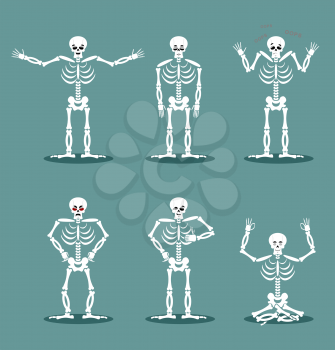 Skeleton set of different poses. Expression of dead emotions. Angry Skull and kind. Sad and happy. Aggressive and surprised. corpse yoga. halloween illustration
