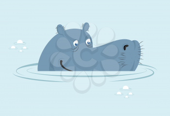 Hippo in water. Big fat hippopotamus in swamp. Cute hippo head in water basin. Wild African animals. River-horse