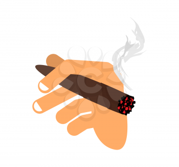 Hand with cigar isolated. Men Hand holding smoke cigarette. Finger and havana
