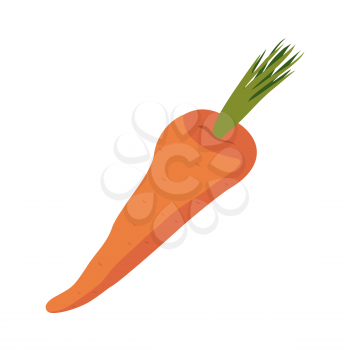 Carrots isolated. Orange vegetables on white background. Eating vegetarian
