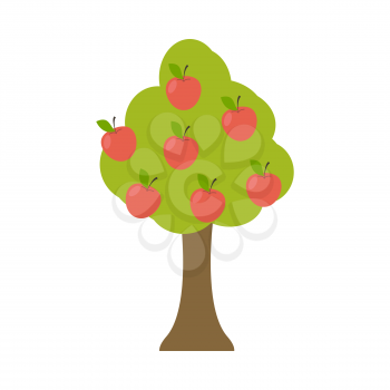 Apple tree isolated. Garden wood with apples on white background. Large fruit harvest

