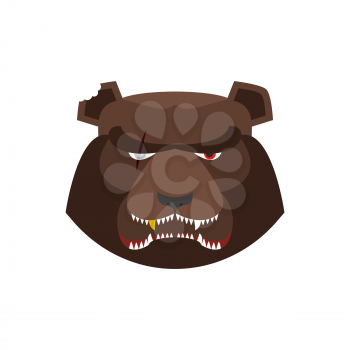 Angry bear in green beret. Aggressive Grizzly head. Wild animal muzzle isolated. Forest predator
