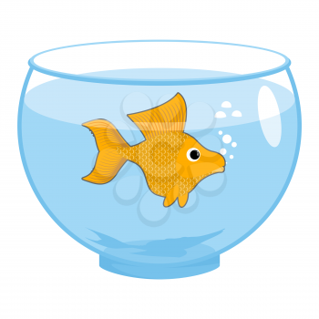 Goldfish in aquarium isolated. Magic marine animals
