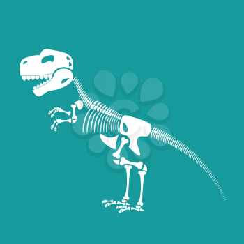 Dinosaur skeleton isolated. Remains of Tyrannosaurus. Skull T-Rex. Prehistoric monster. Ancient reptiles. Predator Jurassic

