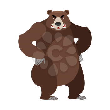 Angry bear on its hind legs. Aggressive Grizzly on white background. Wild evil animal. Large ferocious predator. Forest  brutal strong beast