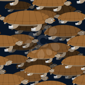 Water Turtle seamless pattern. Marine animal ornament. Reptile with shell background
