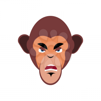Monkey angry Emoji. marmoset aggressive emotion isolated. Chimpanzee face
