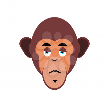Monkey sad Emoji. marmoset unhappy emotion isolated. Chimpanzee face
