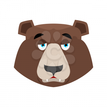 Bear sad Emoji. grizzly melancholy emotion. face Wild animal isolated