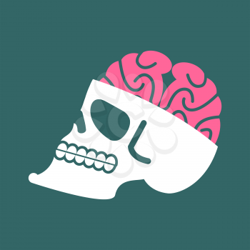 Skull with brains isolated. head of human skeleton and brain. Anatomy illustration
