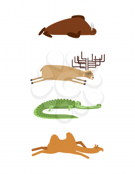Sleeping animals set 1. Seal and moose. Crocodile and camel. wild animal sleeps. Sleepy beast