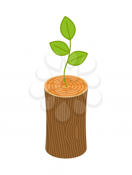 Sprout from logs. New life concept. young plant from Wooden billet 
