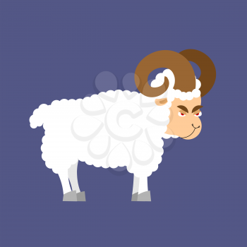 ram farm animal isolated. Horned Sheep beast
