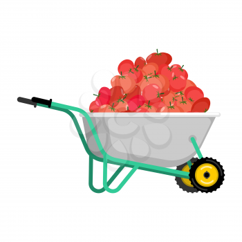Wheelbarrow and tomato. vegetables in garden trolley. big harvest Vector Illustration