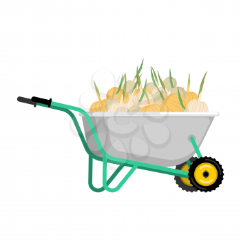 Wheelbarrow and onion. vegetables in garden trolley. big harvest Vector Illustration