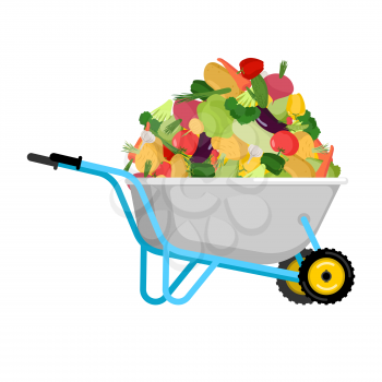 Wheelbarrow and vegetables. big harvest in garden trolley. Vector Illustration