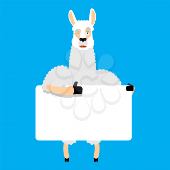 Lama Alpaca holding banner blank. Animal and white blank. Beast thumb up and winks joyful emotion. place for text. Vector illustration