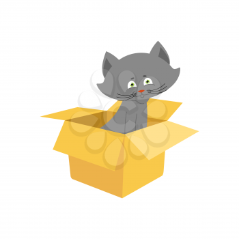 Cat in box isolated. Home pet in cardboard box. Vector illustration

