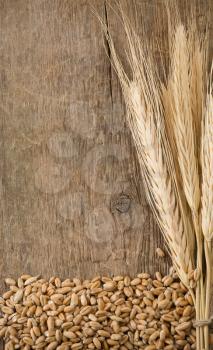 wheat grain and spike ear on wood background