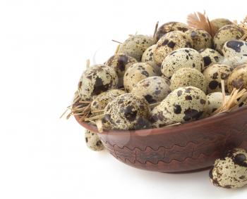 quail eggs in bowl isolated on white background
