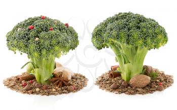 broccoli and spices isolated on white background