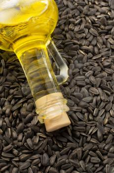bottle of oil and  sunflower seed